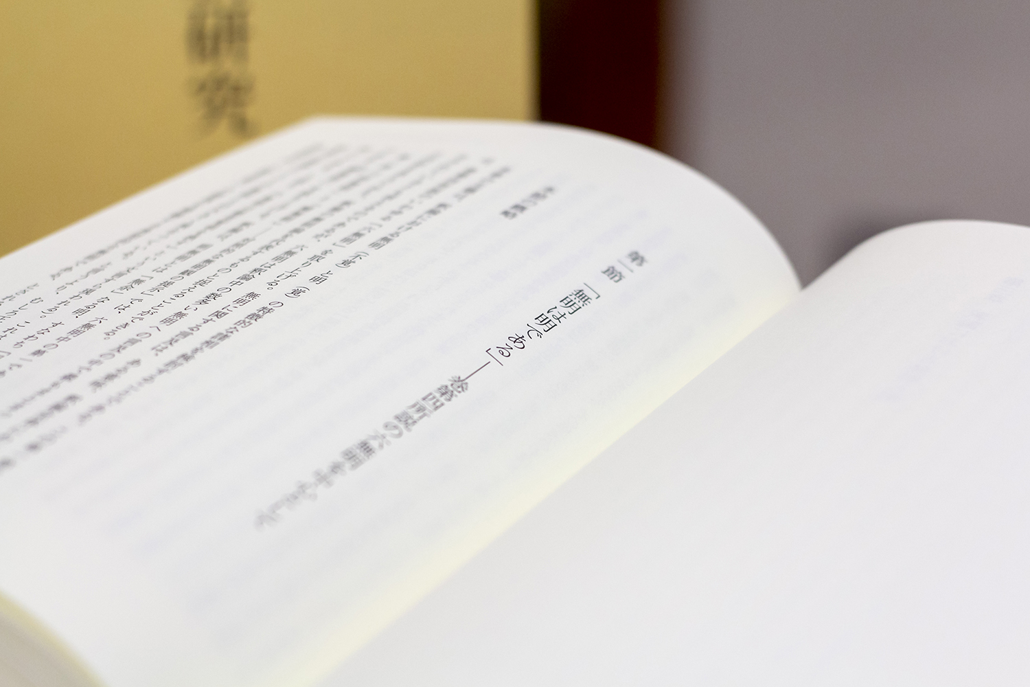 早川教授が執筆した本『釈摩訶衍論の新研究』が出版されました | 種智